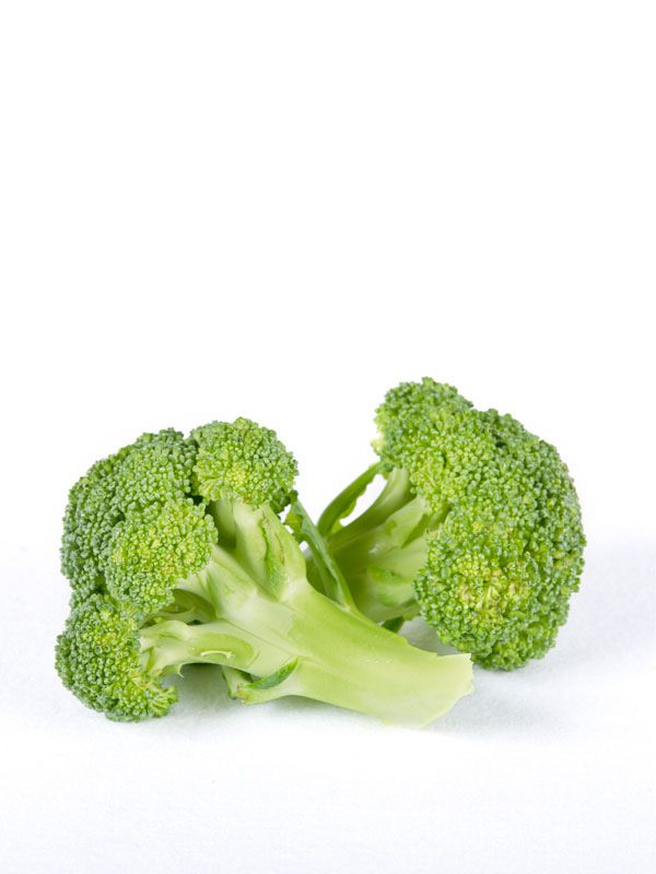 Two Broccoli on white background
